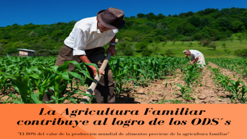 La Agricultura Familiar contribuye al logro de los ODS´s