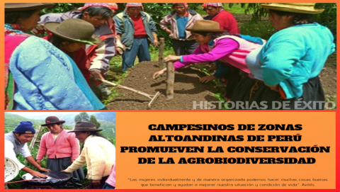 Campesinos de zonas altoandinas de Perú promueven la conservación de la agrobiodiversidad