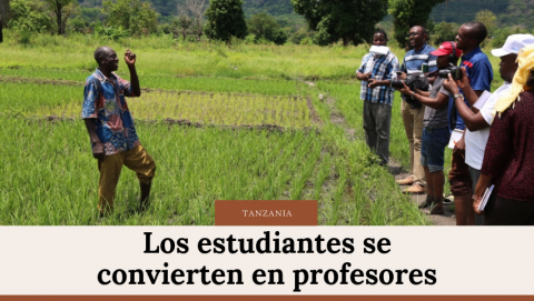 Los estudiantes se convierten en profesores