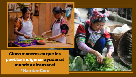 Cinco maneras en que los pueblos indígenas ayudan al mundo a alcanzar el #HambreCero