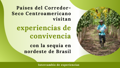 Países del Corredor-Seco Centroamericano visitan experiencias de convivencia con la sequía en nordeste de Brasil