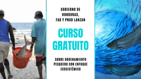 Gobierno De Honduras, FAO Y PNUD Lanzan Curso Gratuito | Ondarural