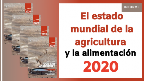 El estado mundial de la agricultura y la alimentación 2021: Lograr