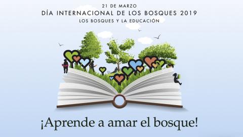 Ecuador y la FAO conmemoran el Día Internacional de los Bosques