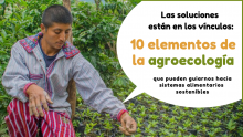 10 elementos de la agroecología