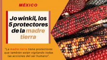 México: Jo winkil, los 5 protectores de la madre tierra