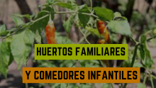 Huertos Familiares y Comedores Infantiles