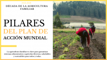 Un Plan de Acción Mundial para trabajar juntos en pro de los objetivos del Decenio de la Agricultura Familiar