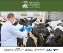 Cumbre de la sanidad animal sesiona en Paraguay, con énfasis en fortalecimiento de seguridad alimentaria