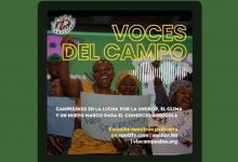 Voces del campo: campesinxs en la lucha por la UNDROP, el clima y un nuevo marco para el comercio agrícola mundial