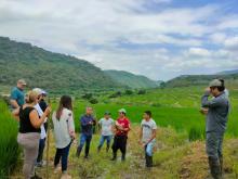 Monitorean la producción de arroz-pato en el cantón Macará - Ecuador