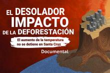 El desolador impacto de la deforestación: el aumento de la temperatura no se detiene en Santa Cruz