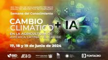 noticia