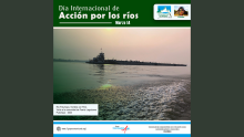 Noticia