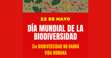 noticia