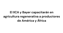 noticia