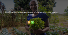 noticia