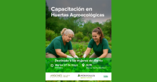 noticia