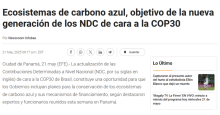noticia