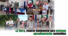 noticia