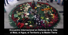 noticia