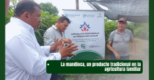 noticia