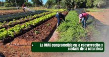 noticia