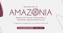 Noticia