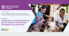 noticia