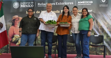 noticia