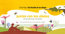 NOTICIA