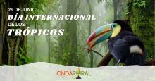 noticia
