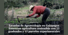 noticia