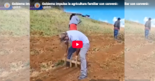 noticia