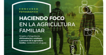 noticia