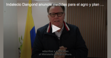 noticia