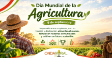 noticia