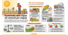 noticia
