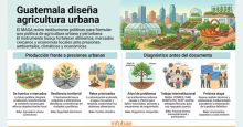 noticia