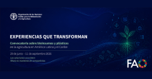 NOTICIA