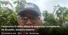 noticia